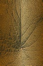 Distress tree leaves, leaflet texture on golden green background. Black and white grunge background. EPS8 vector illustration