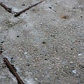 Distressed Gray Concrete Surface with Exposed Rusty Metal Rebars Royalty Free Stock Photo