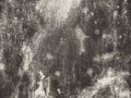 Distressed grunge black and white  texture -texture of concrete floor background for creation abstract.Elegant dark gray color. Royalty Free Stock Photo