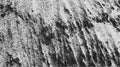 Distressed halftone grunge black and white scratches blurry shaded rough texture background. Royalty Free Stock Photo