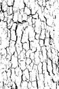 Distressed halftone grunge black and white vector texture -old wood bark texture
