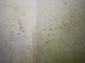 A distressed, off-white surface with scuff marks, dark spots, and discoloration, suggesting wear. Royalty Free Stock Photo