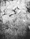 Distressed overlay texture of cracked concrete, plaster, cement. grunge background Royalty Free Stock Photo