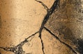 Distressed overlay texture of cracked concrete, stone or asphalt. Grunge background. Abstract vector illustration Royalty Free Stock Photo