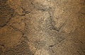 Distressed overlay texture of cracked concrete, stone or asphalt. Grunge background. Abstract vector illustration Royalty Free Stock Photo