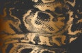 Distressed overlay texture of crocodile or snake skin leather, on golden grunge background Royalty Free Stock Photo