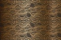 Distressed overlay texture of golden crocodile or snake skin leather, grunge background Royalty Free Stock Photo