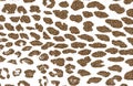 Distressed overlay texture of natural leopard fur, grunge vector background