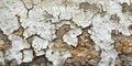 Distressed Wall Texture Featuring Cracked and Flaking Paint on an Old Weathered Plaster Surface Royalty Free Stock Photo
