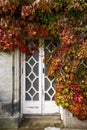 A distressed white wooden door, surrounded by vibrant red and green climbing ivy Royalty Free Stock Photo