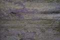 Distressed wood planks wit purple paint background and wallpaper texture Royalty Free Stock Photo