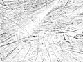 Distressed wooden texture with cracks, grains, and concentric circles. Monochrome background for vintage, rustic, and abstract Royalty Free Stock Photo