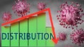 Distribution and Covid-19 virus, symbolized by viruses and a price chart falling down with word Distribution to picture relation