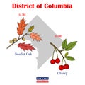 The District of Columbia. Set of USA official state symbols