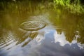 Disturbance in a tranquil pond sends ripples outward.