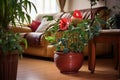 disturbed living room with disrupted flower pot