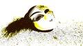 The elegant and refined carnival mask for night parties on a white background.