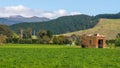 Disused building in a field with Tararua Mountains in background in Shannon, Horowhenua, New Zealand Royalty Free Stock Photo