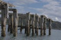 Disused and derelict pier with seaweed covered posts