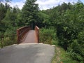 Rusty Bridge Over and Into Dense Woods