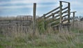 Disused timber cattle ramp on farm in country Victoria-east.