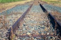 Disused Train Tracks Overgrown With Weeds Royalty Free Stock Photo