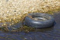 A disused tyre and rim polluting a small stream on the Solent Way beach on Southampton Water near Titchfield in Hampshire Royalty Free Stock Photo