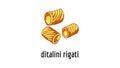 Ditalini rigati icon animation