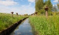 A ditch, blue sky, green grass, a typical Dutch scene.