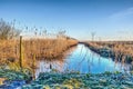 Ditch on a cold morning