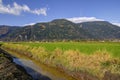 Ditch by the farm fields Royalty Free Stock Photo