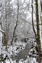 A ditch in the forest in winter Royalty Free Stock Photo