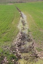 ditch full of water fields because the ground does not absorb mo Royalty Free Stock Photo