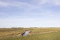 Ditch and meadows in waterland near uitdam in noord-holland