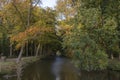 A ditch with overhanging trees in autumn colors near Linschoten Royalty Free Stock Photo