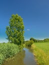 Ditch with reed along a meadow with trees under a clear blue sky in Kalkense Meersen nature reserve, Flanders, Belgium.