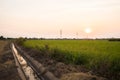 Ditch water near paddy rice fields See the sunset and high voltage pole tower Royalty Free Stock Photo