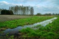 Ditch with water and trees beyond the field, Zarzecze, Poland Royalty Free Stock Photo