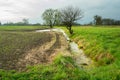 A ditch with water and trees between the field and the meadow, Zarzecze, Poland Royalty Free Stock Photo