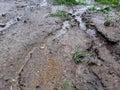 Ditches in the ground after floods Royalty Free Stock Photo