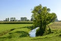 Ditches and trees in Adda park near Abbadia Cerreto Royalty Free Stock Photo