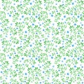 Ditsy flowers, herbs, grasses. Ecological repeating pattern. Water color Royalty Free Stock Photo