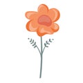 Ditsy liberty style seamless flower. Summer daisy flowers in white background. Simple flat modern drawing. Floral texture
