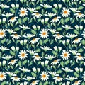 Ditsy print. Chamomile romantic seamless pattern