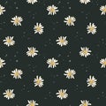Ditsy print. Watercolor seamless floral pattern. Illustration Flowers Daisies drawn by hand. Spring botanical print