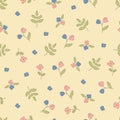 Small flower pattern background in spring or summer. Royalty Free Stock Photo