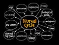 Diurnal cycle mind map, concept for presentations and reports