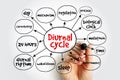 Diurnal cycle mind map, concept for presentations and reports