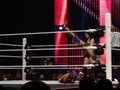 Diva Paige drops AJ lee on a Bella Sister in ring
