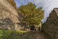 Divci Kamen ruin of castle in autumn Royalty Free Stock Photo